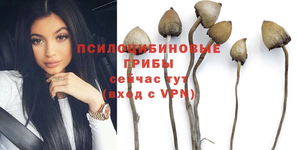 apvp Балабаново