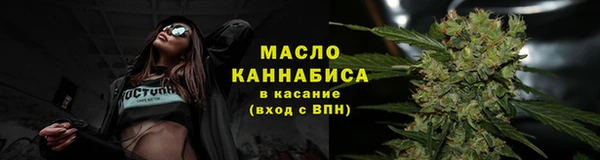 молекула духа Богородицк