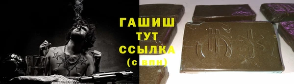 молекула духа Богородицк