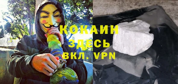 молекула духа Богородицк