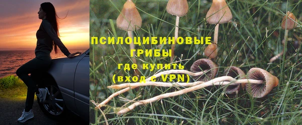 молекула духа Богородицк