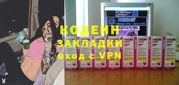 молекула духа Богородицк