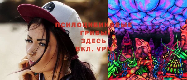 ГАЛЛЮЦИНОГЕННЫЕ ГРИБЫ Баксан