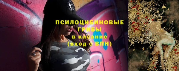 a pvp Богородск